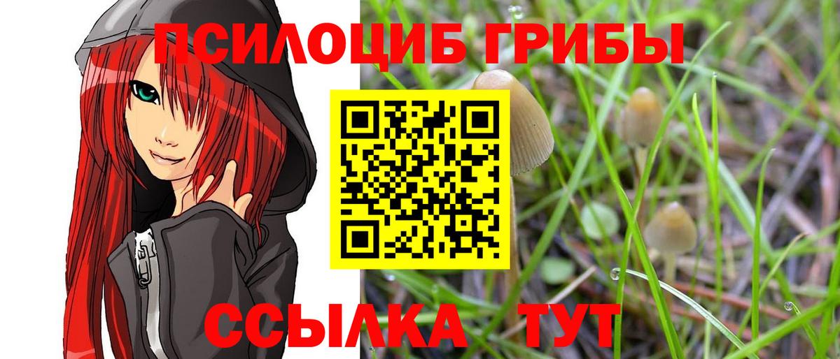 Галлюциногенные грибы мицелий Кинель