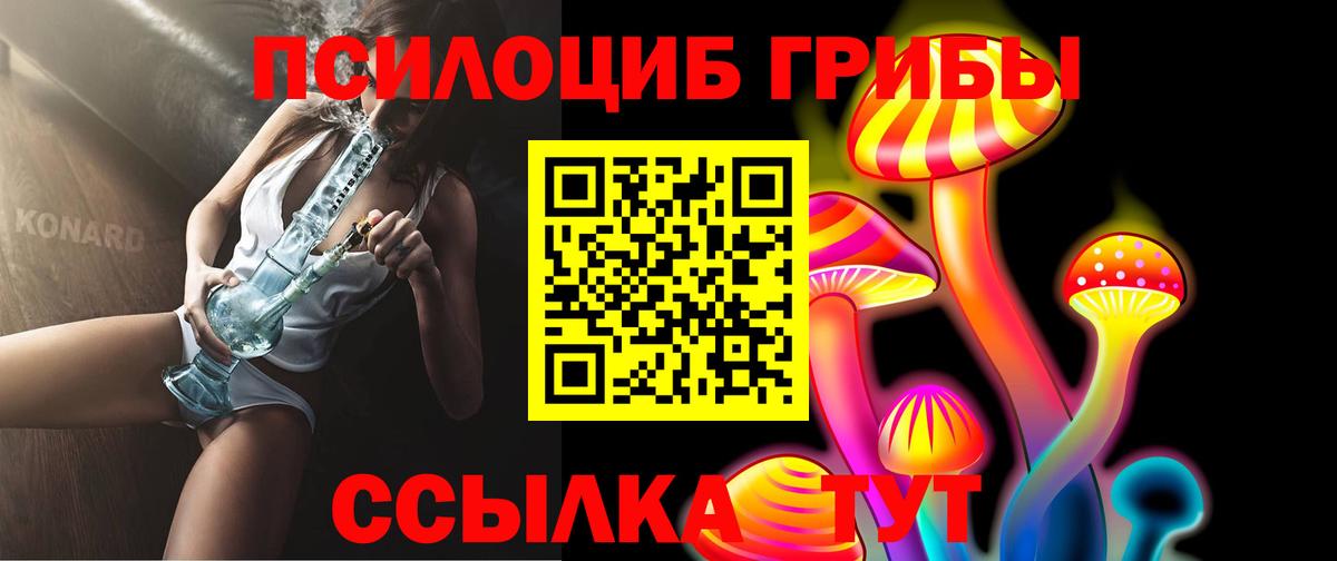 Псилоцибиновые грибы Cubensis  Вход с VPN  Кинель  Псилоцибиновые грибы Psilocybe 
